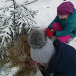 20160114_121557