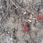 20160318_120336