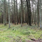 IMG_20200915_094249