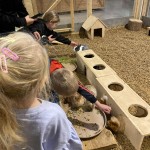 558874187_1411047887028258_7143528140735377048_n