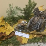 571260786_1424992878967092_8676175611882074831_n