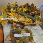 571350718_1424992718967108_1303318932220075594_n