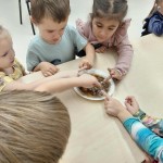 573627541_1425644692235244_808130911060462938_n