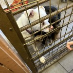 597686477_1464944261638620_3606680971069797910_n