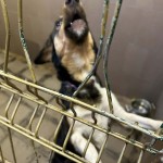 597716965_1464944358305277_2534197426757551087_n