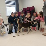 4a091bab-89f1-433f-9157-e0f2d010e288