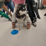 7c45e7e6-01c0-4394-acfa-a4c5b281dbb8