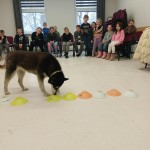 b3cbb468-5bd0-42d2-af9f-8a13dd1fad36